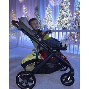 Коляска 2 в 1 UPPAbaby "Виста В3 Кензи